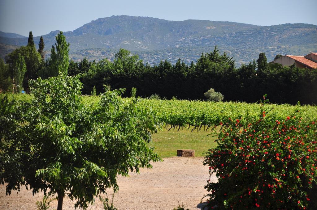 Chateau De Jonquieres - Herault מראה חיצוני תמונה